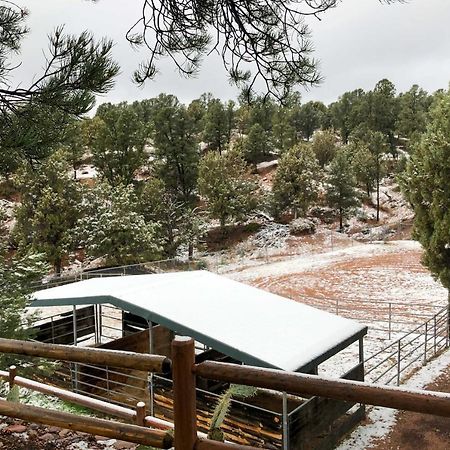 Multi-Family Rocking Horse Ranch With Sauna! Payson Exterior foto